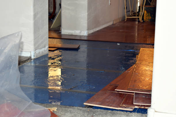 Professional Water Damage Restoration technician working in Fountain, MN